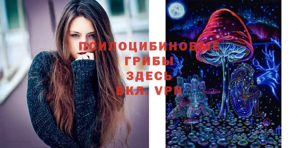 PSILOCYBIN Красноперекопск