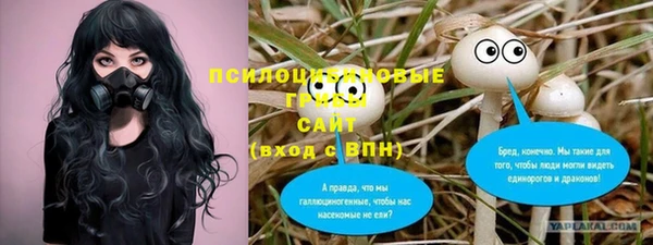 PSILOCYBIN Красноперекопск