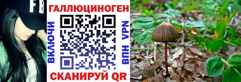 Псилоцибиновые грибы Magic Shrooms  Купить где  Верещагино 