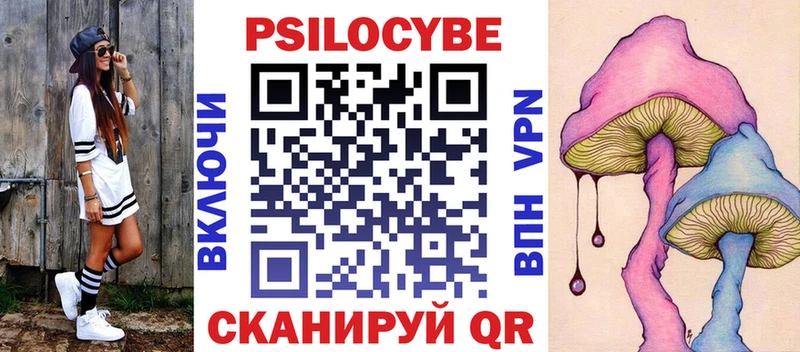 Галлюциногенные грибы Psilocybe Верещагино